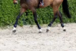 Prednje kamašne Pro.Flex Sport Eskadron 5