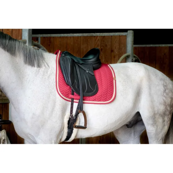 Dresurna podsedlica Softy Equitheme 2