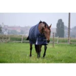Zimsko ćebe za padok Equitheme